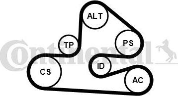 Contitech 6PK1590K1 - Kanallı V Kayışı Seti parcadolu.com