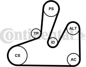 Contitech 6PK1740K4 - Kanallı V Kayışı Seti parcadolu.com