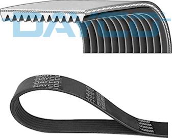 Dayco 11PK2871HD - Kanallı V kayışı parcadolu.com