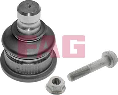 FAG 825 0168 10 - ROTIL 18MM CLIO III CLIO IV LOGAN MEGANE II MODUS parcadolu.com