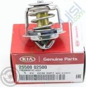 Hyundai 25500-02500 - Termostat parcadolu.com